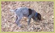 Description: Description: Description: 4-11-06c