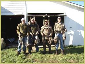 Description: Description: geese, hunt, german, wirehair, wirehaired, pointer, wirehairs, sire, breed, breeder, kennel