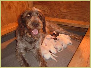 Description: Description: Description: Description: Description: Description: Description: Description: Description: Description: Description: Description: Description: Description: Description: DSCF4497