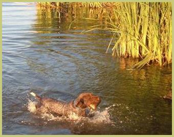 Description: Description: Description: Description: Description: 2005_0719champ-ihlen0002