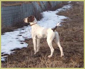 Description: Description: Description: Description: Description: 2006_0205sam0003a