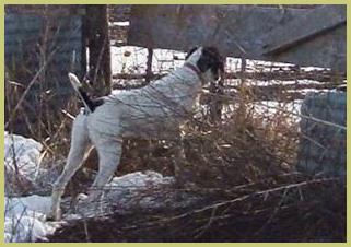 Description: Description: Description: Description: Description: 2006_0205sam0002a