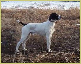 Description: Description: Description: Description: Description: 2006_0205sam0008a